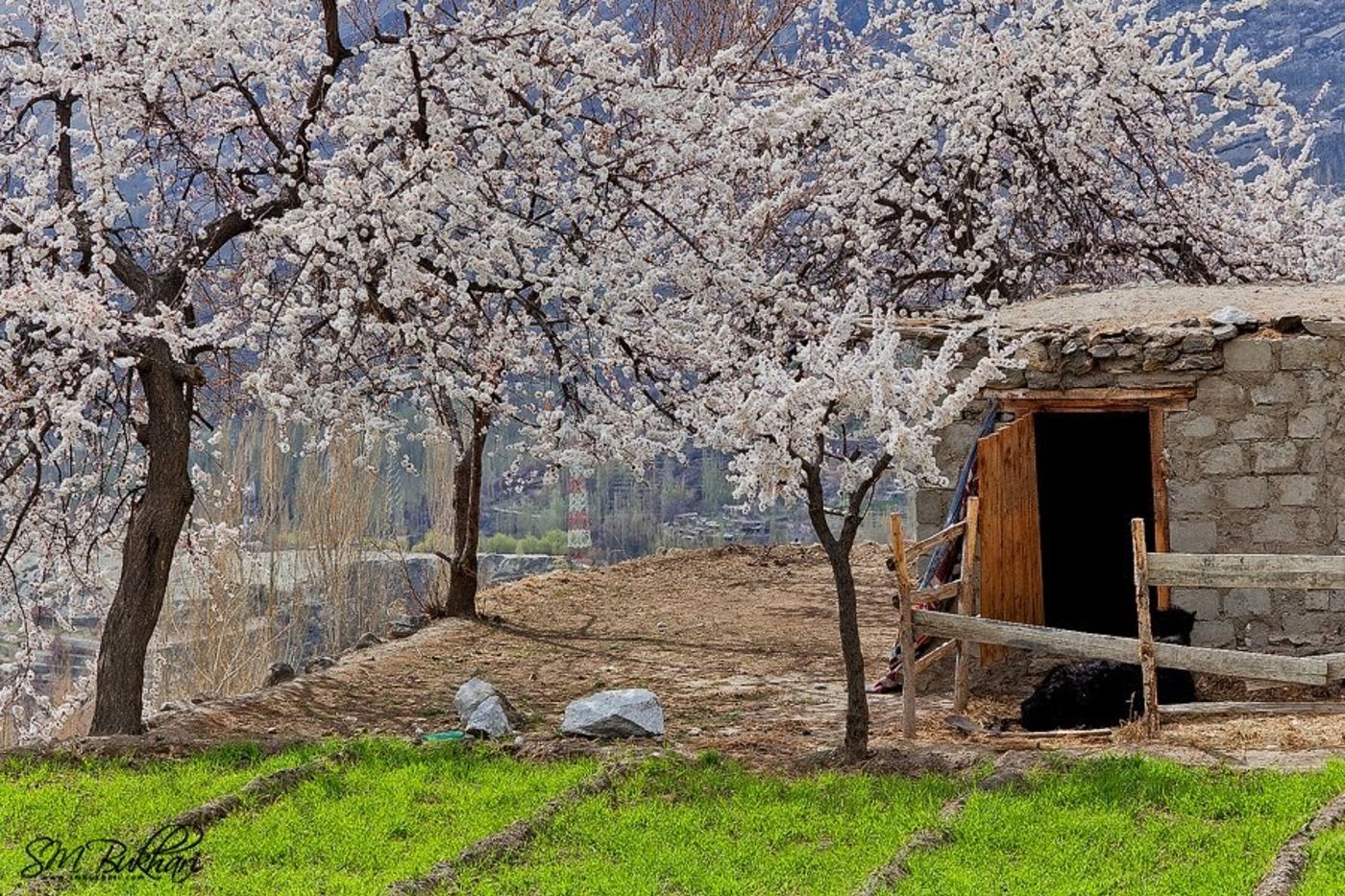 Hunza Valley village and mountain landscape