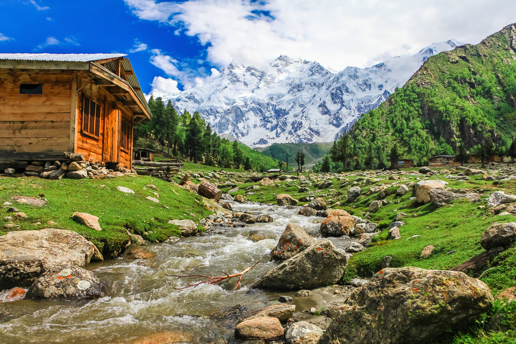 Nanga Parbat viewed from Fairy Meadows Pakistan